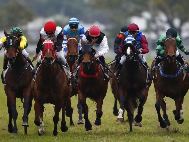 Horse Racing - Grafton Cup Carnival - Grafton Cup Day 14/7/2016Plateau Gold ( 3rd from left )  ridden by Matthew Mcguren wins race 8Photograph : Jason O'Brien