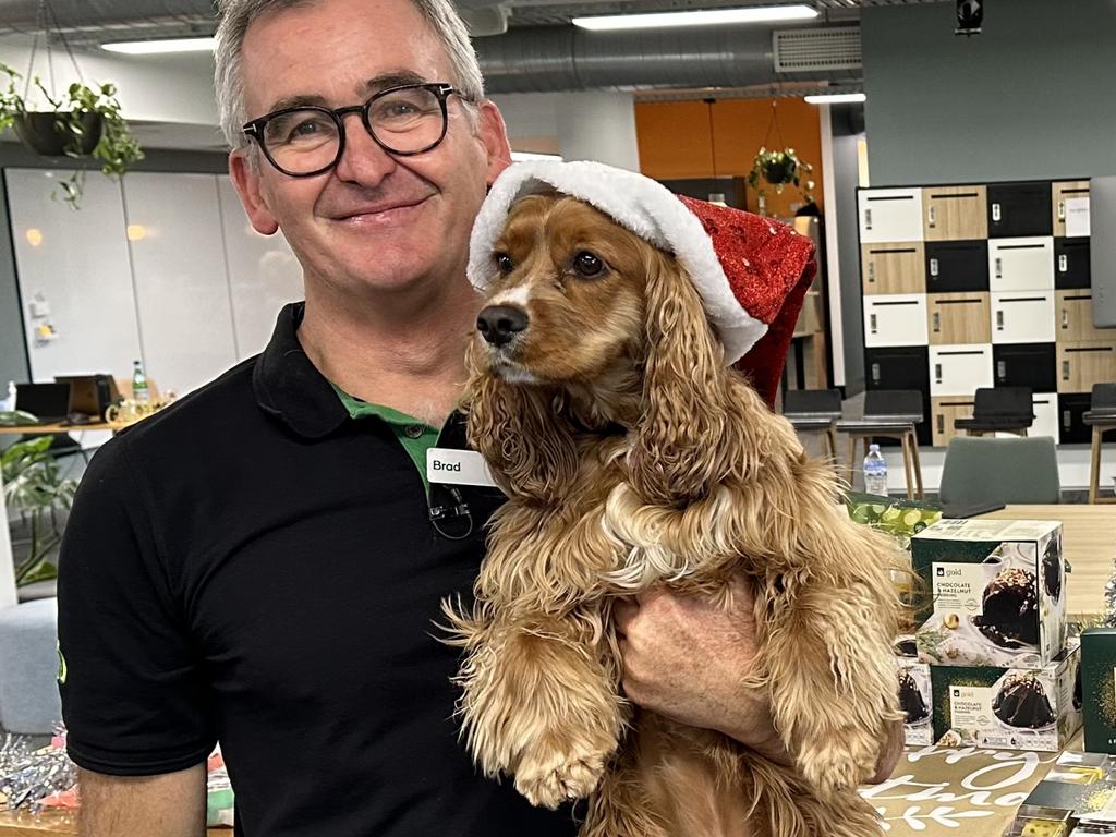 Woolworths Group CEO Brad Banducci and his three-year-old King Charles Cavalier cocker spaniel cross Juno. Woolworths has a controlling stake in PETstock. Picture: Supplied