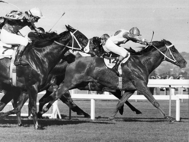 Des Coleman wins the Marlboro Plate at Morphettville aboard Young Man in 1981.