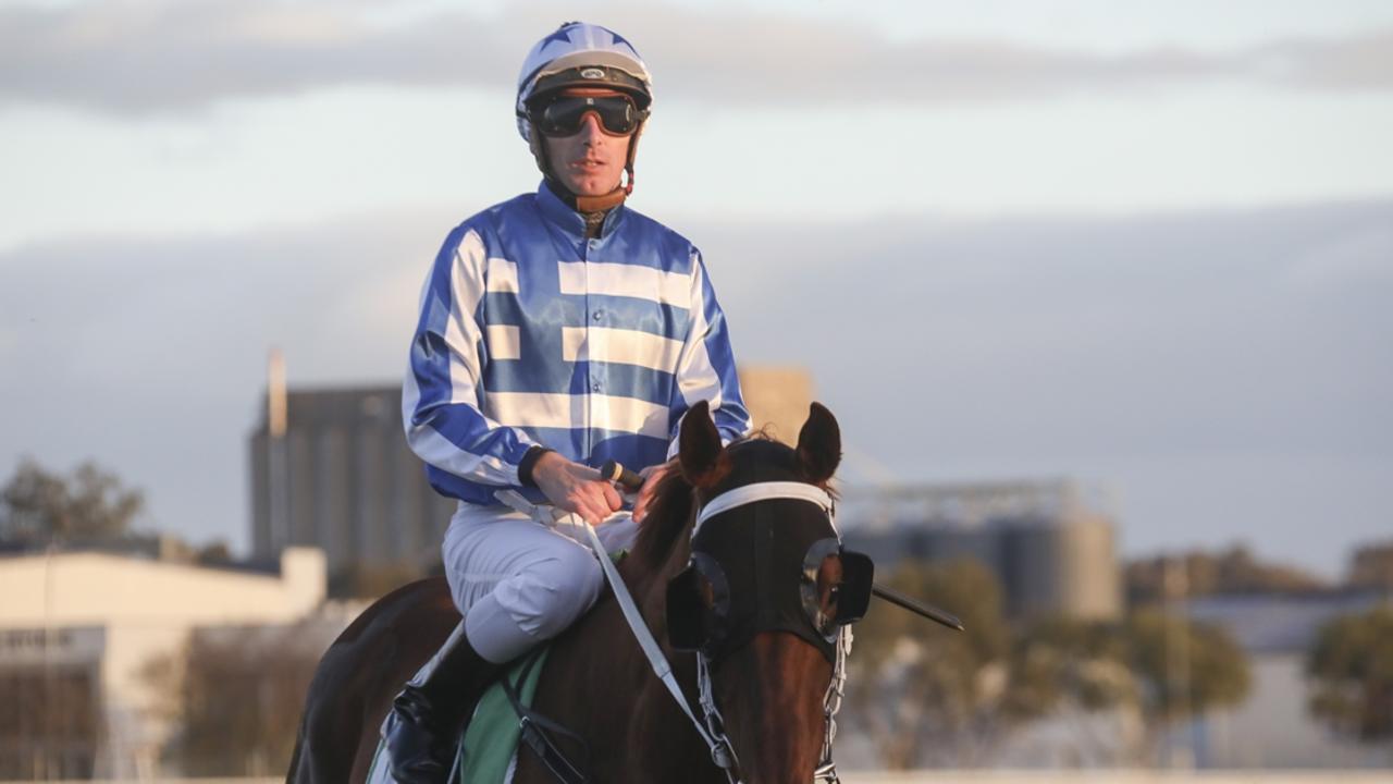 Ben Looker looks a good chance in the Jockey Challenge at Grafton. Picture: Bradley Photos