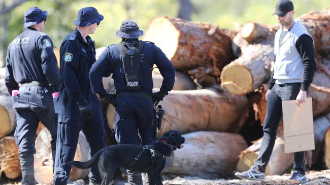 Police with dogs investigate a sawmill on Herons Creek Road during the search for William Tyrrell. Picture: AAP.