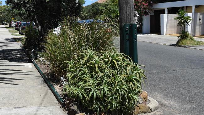 Moves to ease restrictions on nature strip gardens in the City of Frankston have been blocked at council. Picture: Lawrence Pinder