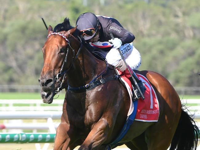 Blackjack Boom, ridden by Robbie Fradd, wins the QTIS 3YO Handicap at Sunshine Coast, February 19, 2022. Picture: Grant Peters/Trackside Photography