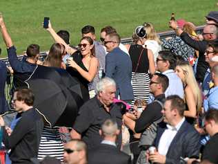 2019 Ipswich Cup. Picture: Rob Williams