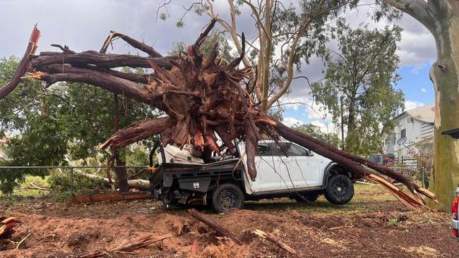 A dangerous storm impacted Charleville with destructive winds bringing down massive trees and damaging some properties. Photo: Supplied