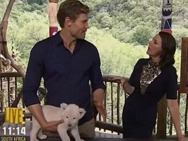 Co-host Dr Chris Brown handles a lion cub on <i>I’m A Celebrity … Get Me Out Of Here!</i>