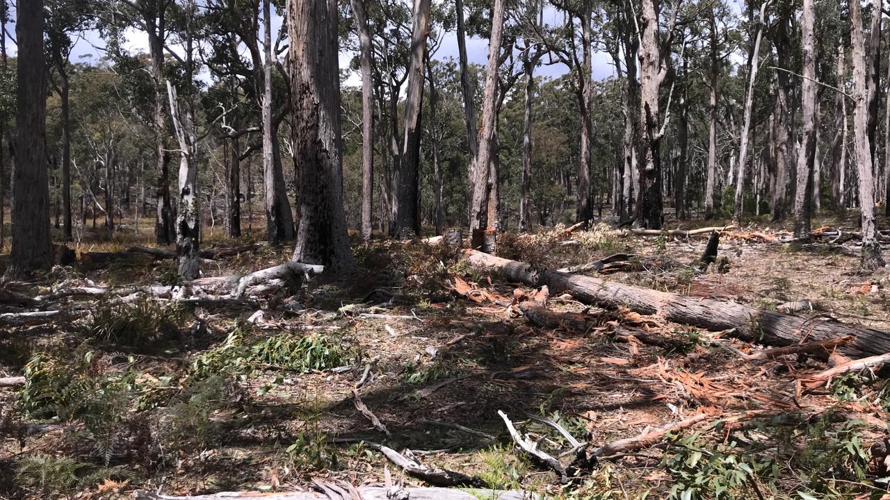 Firewood Tasmania: Nineteen people charged following wood thefts in Tin ...