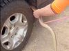 Snake catcher’s shock find under car