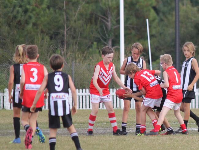 JUNIOR AFL: In round 4 the U10's Lismore Swans played Byron Bay Magpies at Cavanbah Oval, but despite a great effort in the end Byron were just too good and took the game.