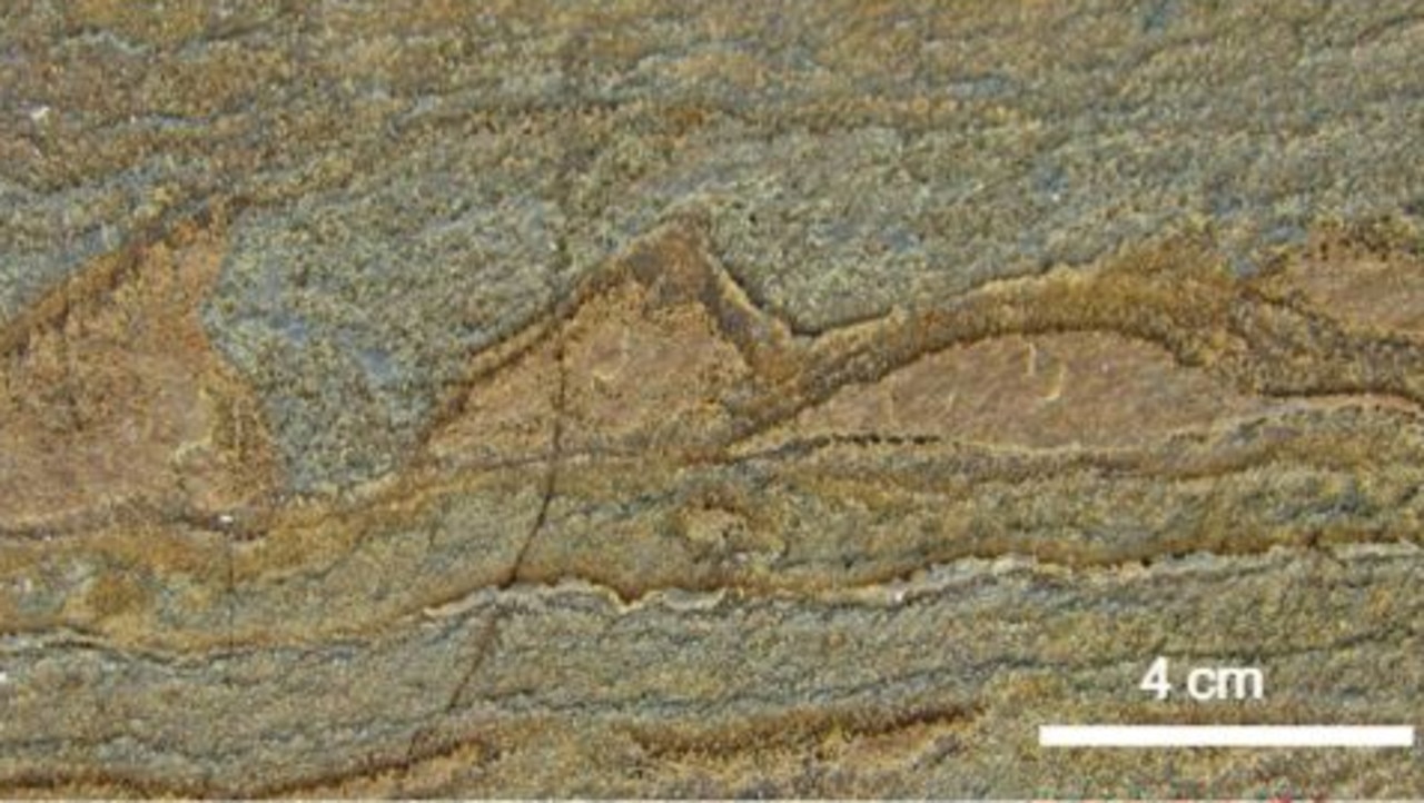 The new study claims that the structures presented as proof of microbial activity were, in fact, forged by underground heat and pressure.