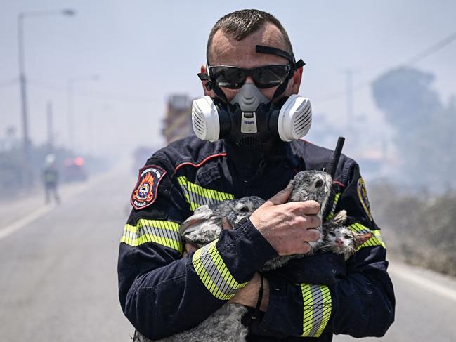 A fireman holds a cat and two rabbits after rescuing them from a fire between the villages of Kiotari and Genadi, on the Greek island of Rhodes. Picture: AFP