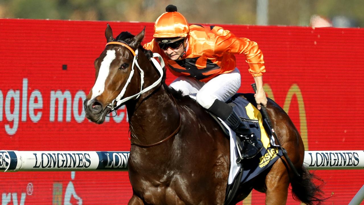 Randwick option worth the weight for Lees’ smart sprinter