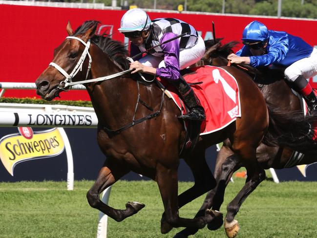 Osipenko ridden by Nash Rawiller winning the Frank Packer Plate at Royal Randwick on April 15, 2023. Picture: Grant Guy