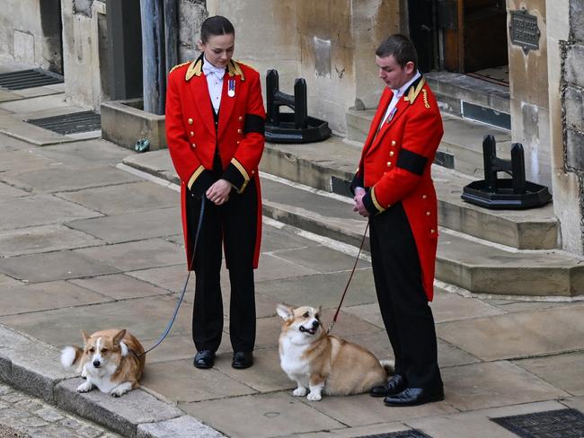 WINDSOR, ENGLAND - SEPTEMBER 19: The Queen's corgis, Muick and Sandy inside Windsor Castle on September 19, 2022 in Windsor, England. The committal service at St George's Chapel, Windsor Castle, took place following the state funeral at Westminster Abbey. A private burial in The King George VI Memorial Chapel followed. Queen Elizabeth II died at Balmoral Castle in Scotland on September 8, 2022, and is succeeded by her eldest son, King Charles III. (Photo by Glyn Kirk - WPA Pool/Getty Images)