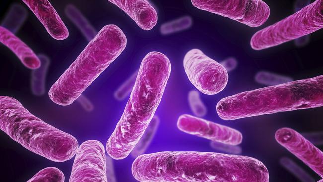 Two cancer patients at Princess Alexandra Hospital have tested positive for the deadly Legionella bacteria.