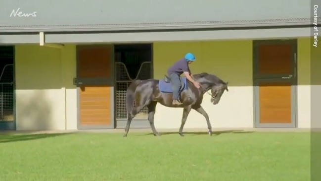 Darren Beadman's emotional Lonhro reunion