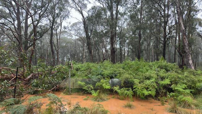 Flood waters that have inundated Aussie Ark home to the largest mainland breeding program of Tasmanian devils located at Barrington Tops New South Wales. Picture: Aussie Ark
