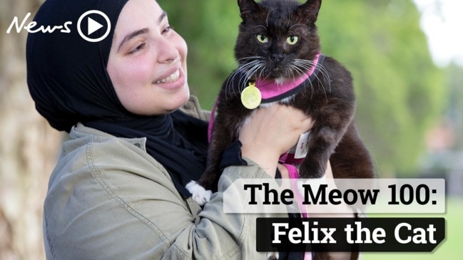 The Meow 100: Felix the Cat