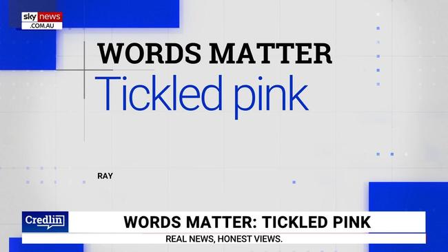 Words Matter: Kel Richards reveals the origins of ‘tickled pink’ | Sky ...