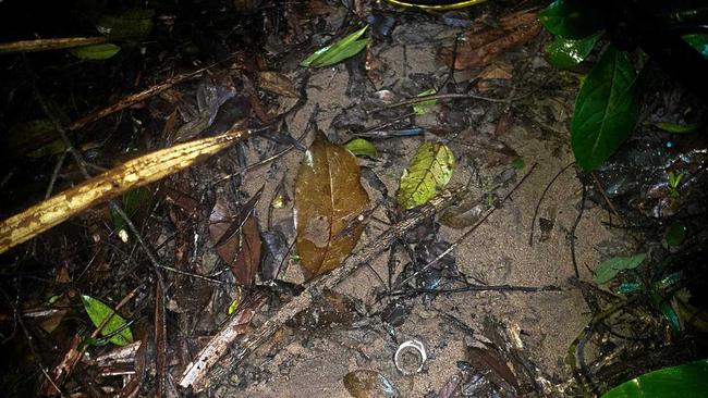 Where Jessica Hart's engagement ring was found by Beau Da Pra. Picture: Contributed