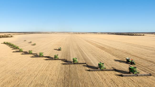 SALIC’s Merriden Farms in WA’s wheatbelt.