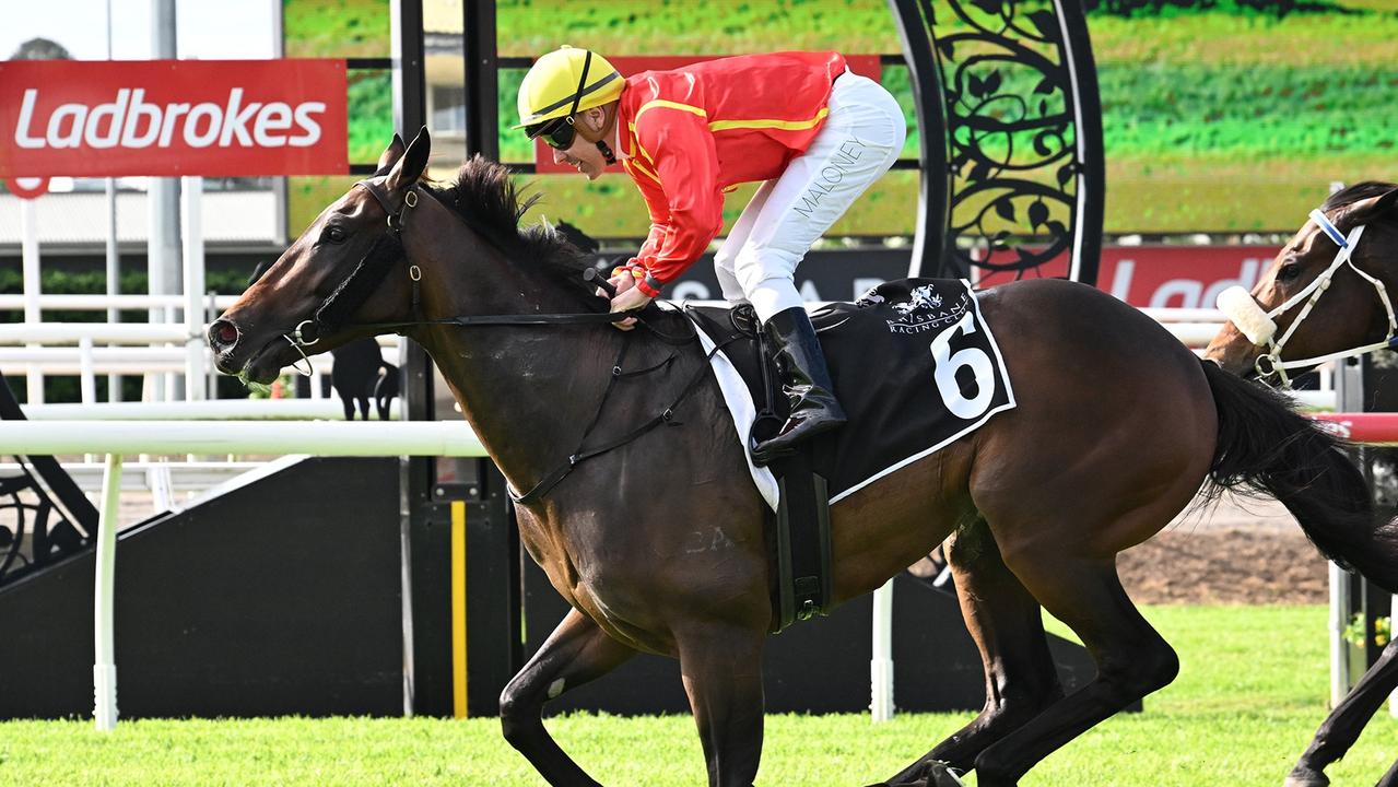 Transatlantic looks likely to miss the Group 1 Stradbroke Handicap field. Picture: Trackside Photography