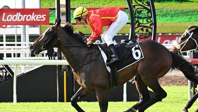 Transatlantic looks likely to miss the Group 1 Stradbroke Handicap field. Picture: Trackside Photography