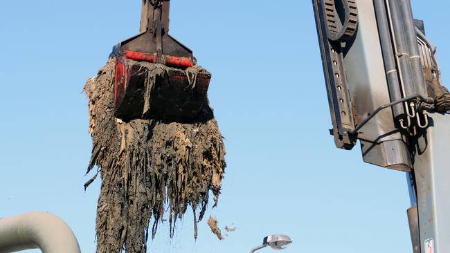 Part of a fatberg that was removed from Hunter Water's wastewater treatment plant in NSW.