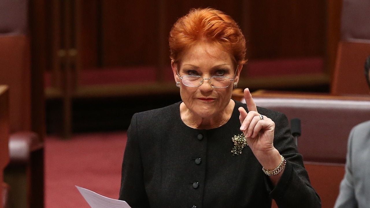 Pressure mounts to have Pauline Hanson thrown off Family Law Inquiry