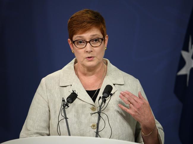 Foreign Minister Marise Payne addresses media in Sydney, Thursday, January 24, 2019. (AAP Image/Dan Himbrechts) NO ARCHIVING