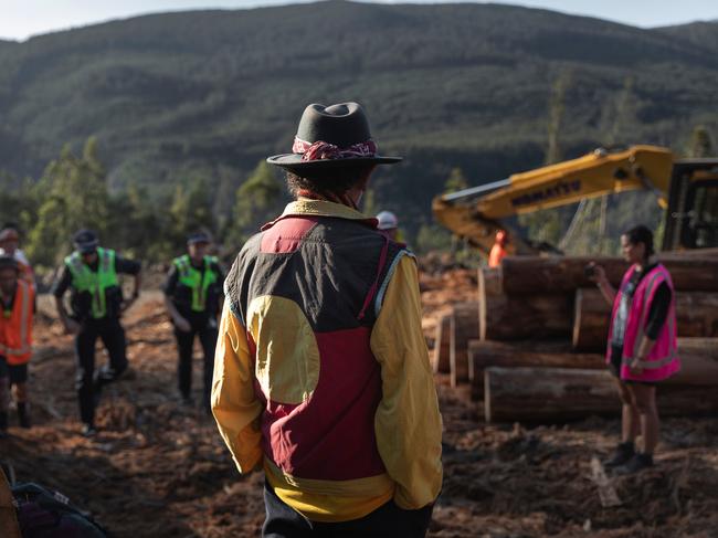 Jim Everett was arrested for refusing to leave the logging coupe. Picture: Bob Brown Foundation