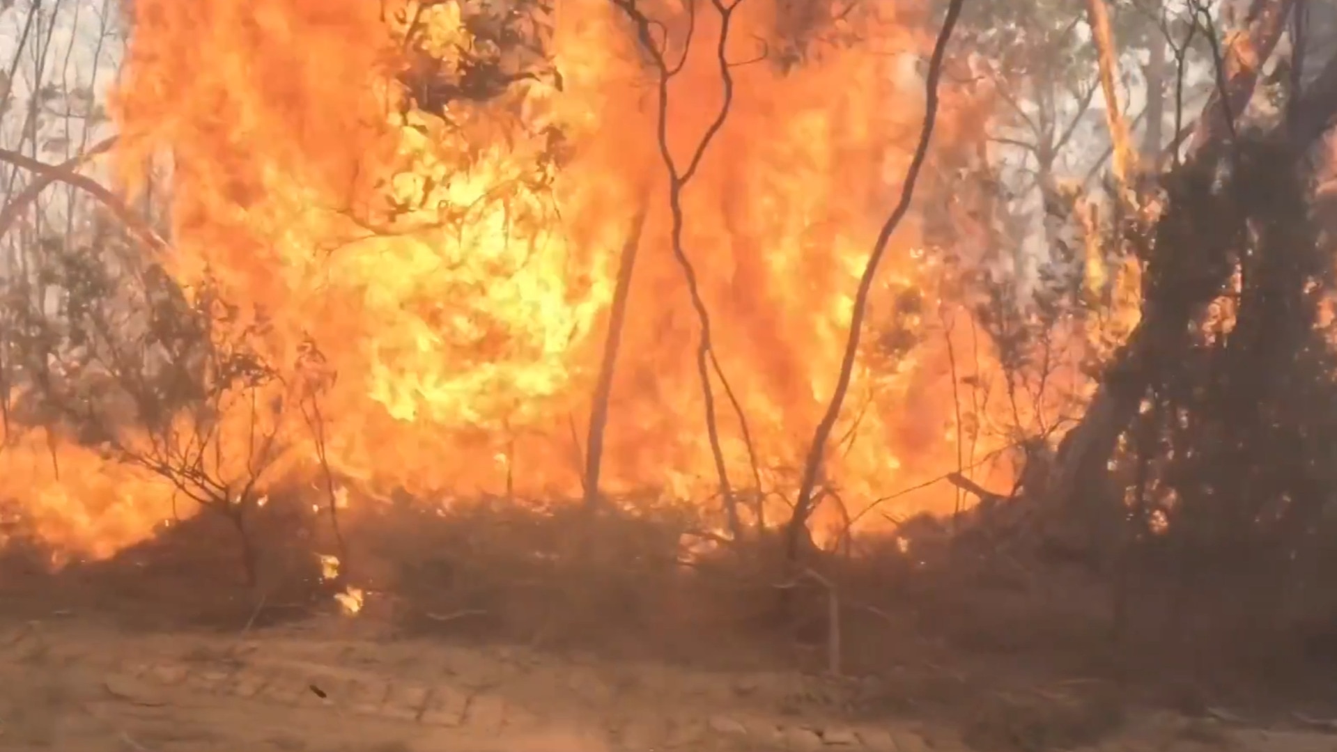 ‘Too late to leave’ Otway Ranges fire heading toward campers The