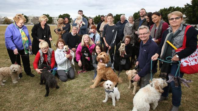 Breakfast Point residents are asking Canada Bay Council for an off-leash park. Picture: Bob Barker.