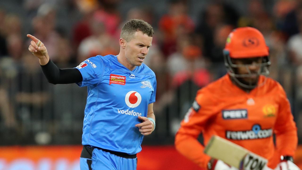 Peter Siddle celebrates a wicket against Perth Scorchers.