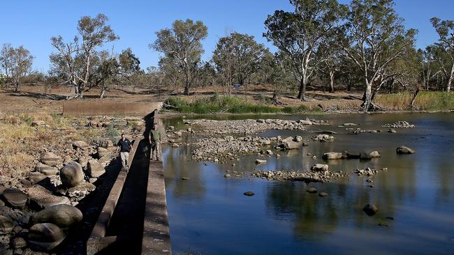 Many locals blame the irrigators further north for hoarding water and thus cutting off supply. Picture: Toby Zerna