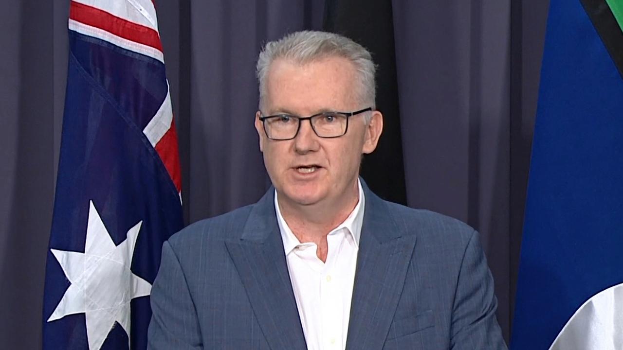 Minister for Home Affairs and Minister for the Arts, Tony Burke. Picture: ABC NEWS