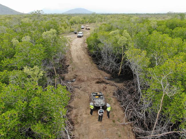 The construction involved the destruction of thousands of mangrove trees and the unauthorised removal of soil from the national park to solidify the road. Picture: Department of Environment, Science and Innovation