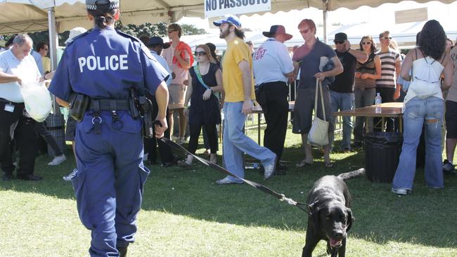  Police officer with sniffer dog checking concert goers for drugs, at the inaugural V Outdoor Musical Festival at Centennial Park in Sydney. 