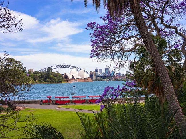 There are plenty of photo opportunities at Royal Botanic Garden Sydney. DNSW Supplied