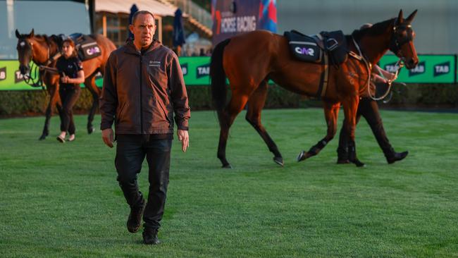 Chris Waller’s dedication remains pure. Picture: Justin Lloyd