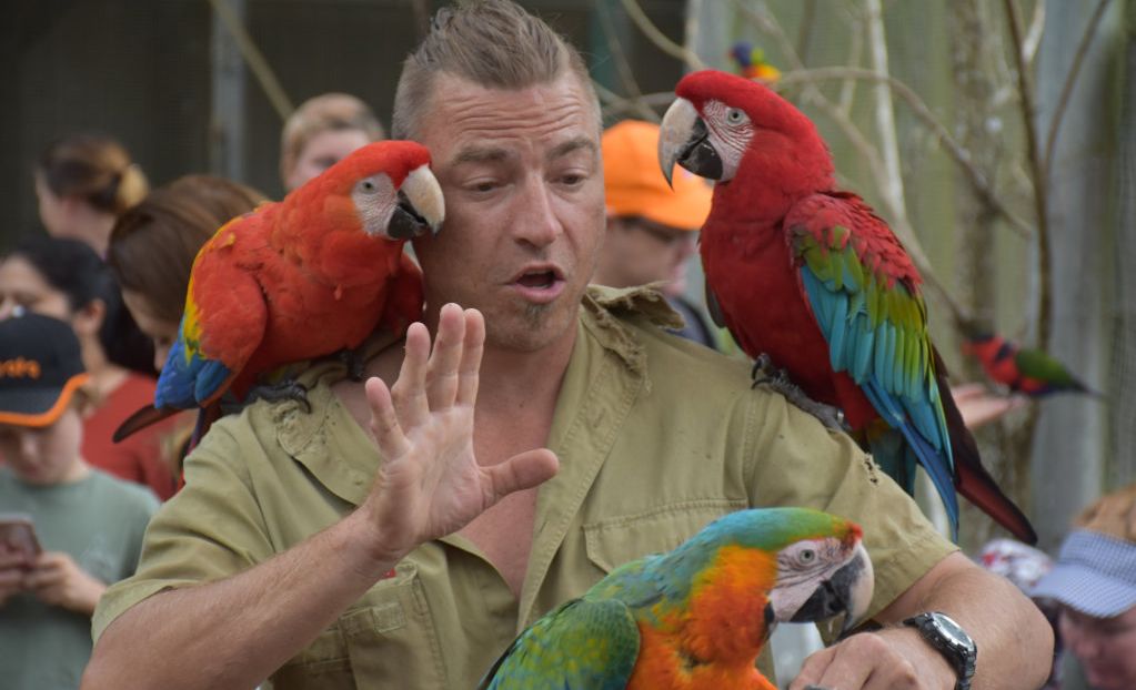 Getting up close with the birds at Maleny Botanic Gardens and Bird World. Picture: Mark Furler