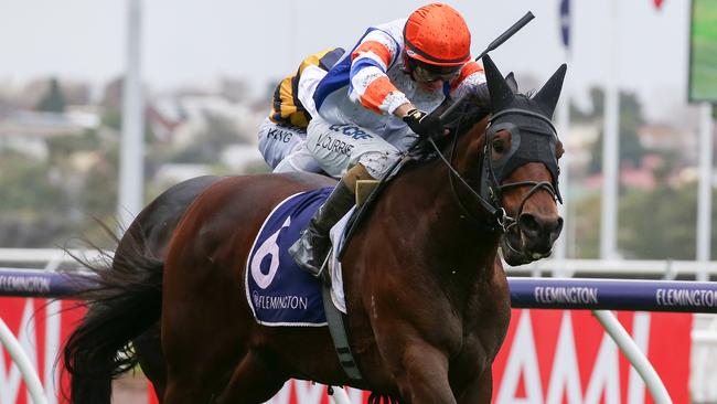 Vinland will be sporting new colours when he has his first start for new trainer Lindsey Smith on Saturday. Picture: Getty Images