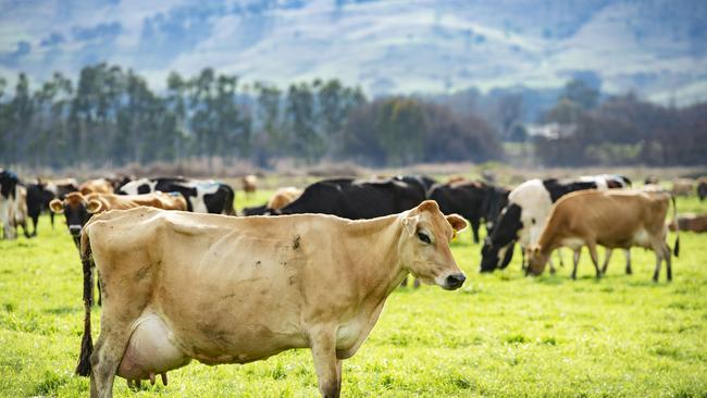 The number of dairy farms nationwide has declined by nine per cent in the past financial year.