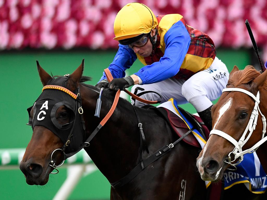 Prince Fawaz winning the JJ Atkins Plate during the Brisbane winter carnival. Picture: AAP