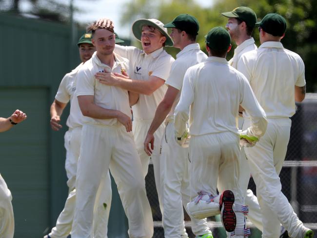 Sam Harbinson is congratulated after taking a wicket against Greenvale Kangaroos.