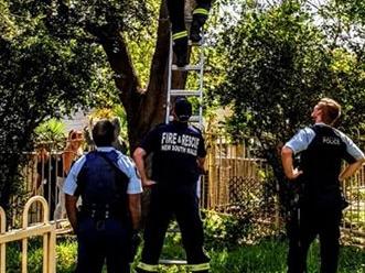 Fire and Rescue NSW St Andrews rescued two teenage girls from a tree at a backyard in Ingleburn