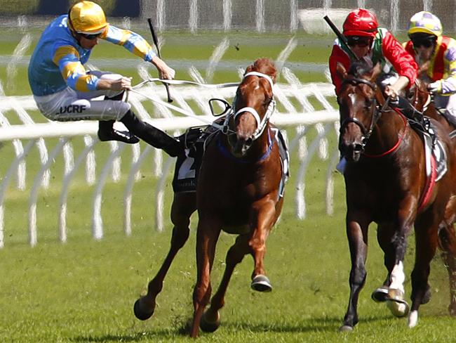 Jockey Hugh Bowman parts company with Performer. Picture: AAP