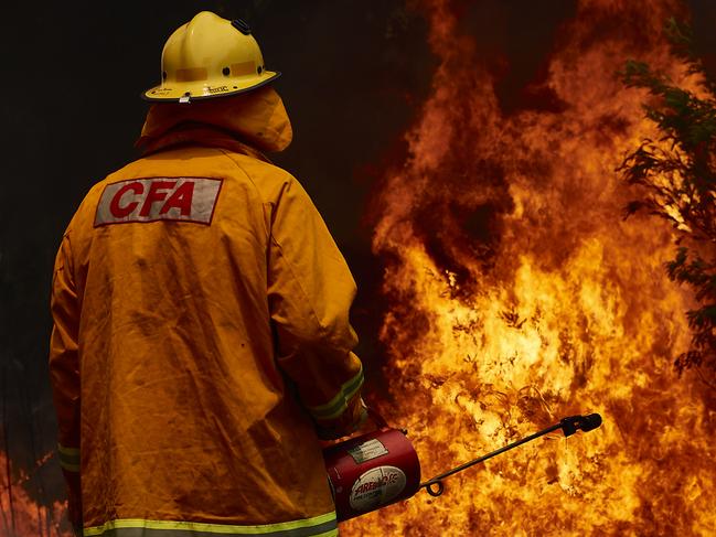 ***BESTPIX*** SYDNEY, AUSTRALIA - NOVEMBER 14: A CFA Member works on controlled back burns along Putty Road on November 14, 2019 in Sydney, Australia. Crews are working hard to gain the upper hand after devastating fires tore through areas near Colo Heights. Bushfires from the Gospers Mountain bushfire continue to burn. An estimated million hectares of land has been burned by bushfire following catastrophic fire conditions - the highest possible level of bushfire danger. While conditions have eased, fire crews remain on high alert as dozens of bushfires continue to burn. A state of emergency was declared by NSW Premier Gladys Berejiklian on Monday 11 November and is still in effect, giving emergency powers to Rural Fire Service Commissioner Shane Fitzsimmons and prohibiting fires across the state. (Photo by Brett Hemmings/Getty Images)