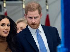 'Upset about a cartoon': Harry and Meghan need to 'be able to take criticism' 