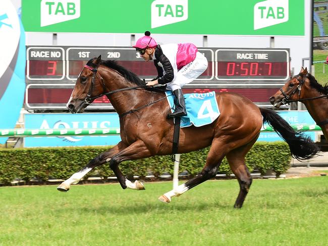 The Drinks Cart, ridden by Ryan Maloney, won the QTIS Two-Years-Old Handicap (900m) at the Gold Coast Turf Club on Wednesday, November 27, 2019. Picture credit: Grant Peters, Trackside Photography.